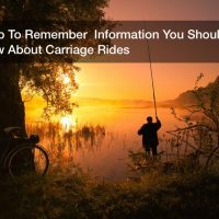 A Trip To Remember  Information You Should Know About Carriage Rides