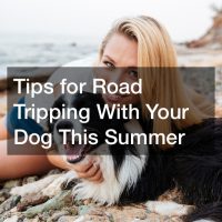 Tips for Road Tripping With Your Dog This Summer
